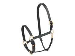 Cabeçada de Couro Preto Cobstar
