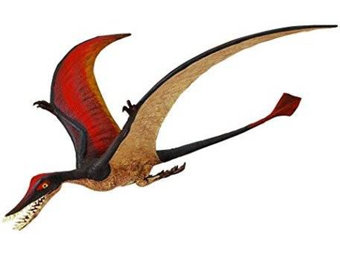 Figura de Jugar SAFARI LTD. Rhamphorhynchus