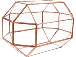 Caja De Joyería Transparente Con Tapa De Cristal, Caja De Almacenamiento Decorativa