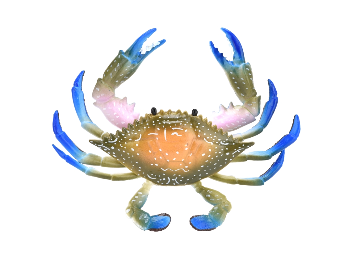 Modelo De Cangrejo Realista De Plástico Juguete Educativo Para Niños Animales Marinos Cangrejo Simulado Pl1271086 Chromatic