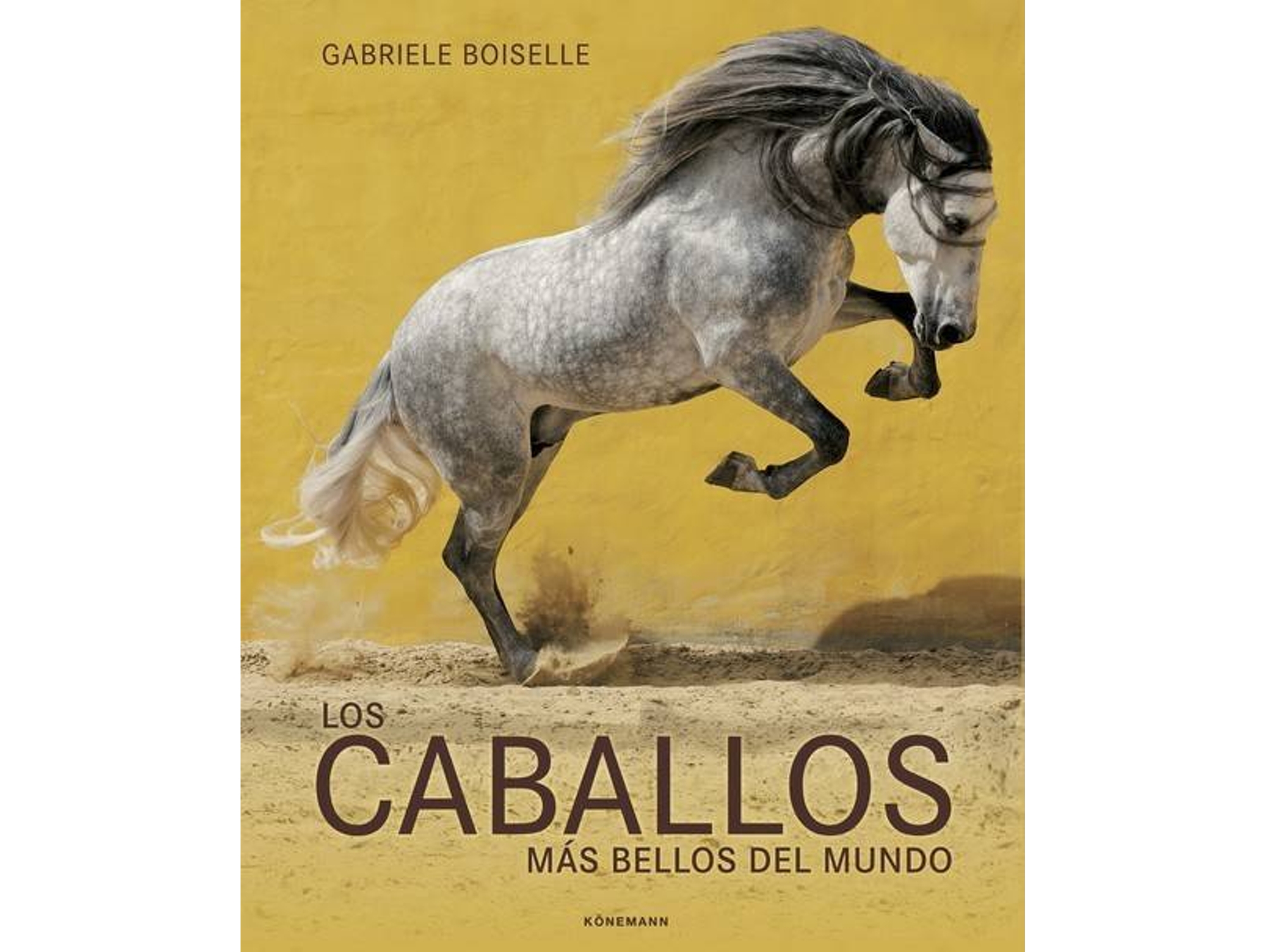 Libro Horses Of The World (Inglés)