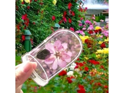 Marcapáginas de flores secas transparentes hechos a mano con luz dorada
