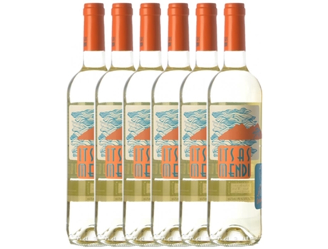 Vino ITSASMENDI Itsasmendi Hondarribi Zuri Bizkaiko Txakolina (0.75 L - 6 unidades)