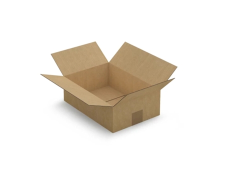 20 cajas de cartón 31 x 21,5 x 10 cm - Flauta simple