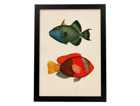 Póster NACNIC de Dos Peces Verde Azul y Rojo Amarillo y Gris en , Fondo Papel Vintage.