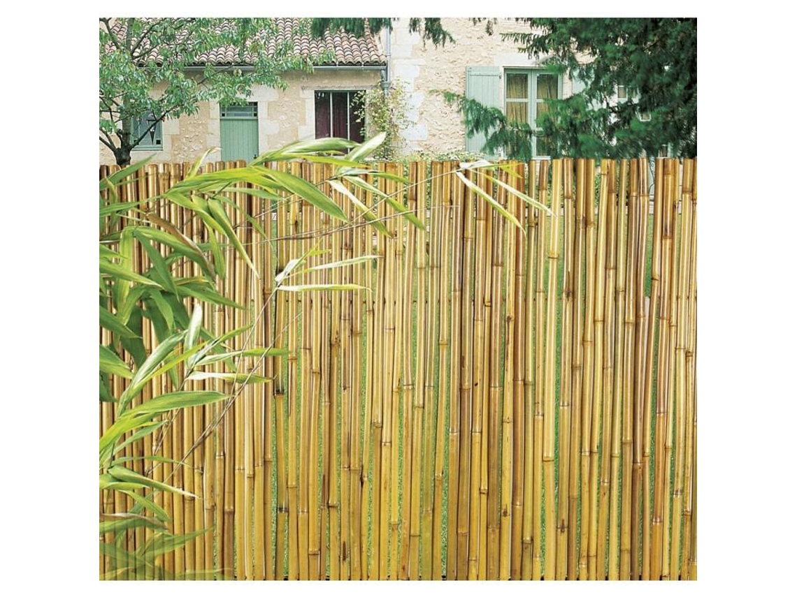 Caña De Bambú Natural Barnizada Bambooflex 1X3 NORTENE