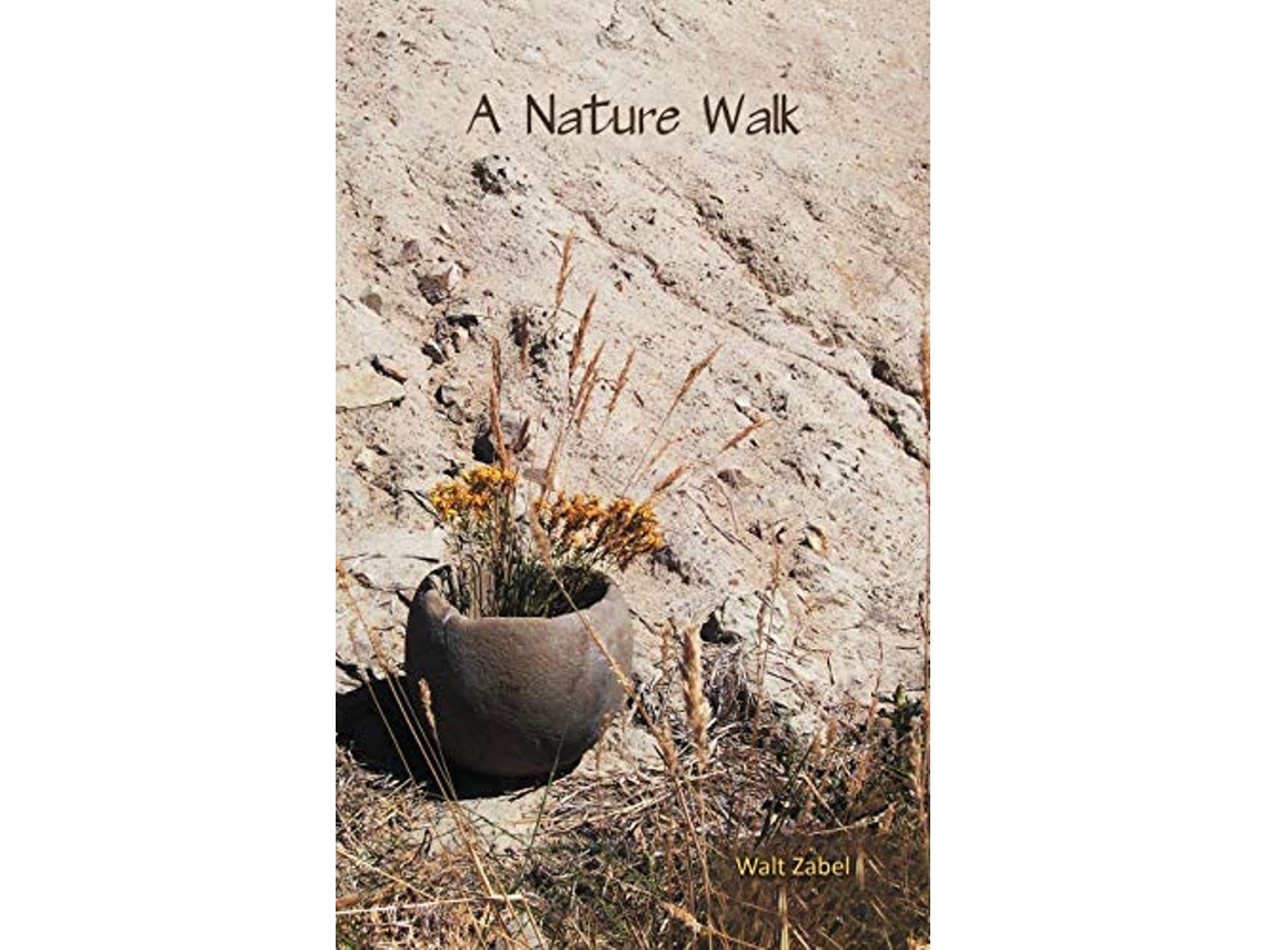 Libro A Nature Walk de Walt Zabel (Inglés)