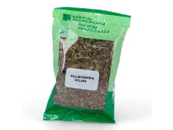 Complemento Alimentar PLAMECA Pulmonaria 25Grs. Plameca Plantas