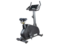 Bicicleta vertical Topgim Sp1000