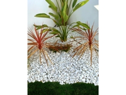 Jardin202 - Piedras De Canto Rodado Blanco 25kg – Decoración Jardín Exterior Y Macetas | Tamaños 20/25, 20/40 Y 40/60 Mm 20/25 | 20/25 ()