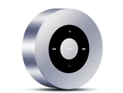Altavoz Bluetooth portátil Mini altavoz inalámbrico con ranura para tarjeta SD y entrada auxiliar Plateado Lalamoli