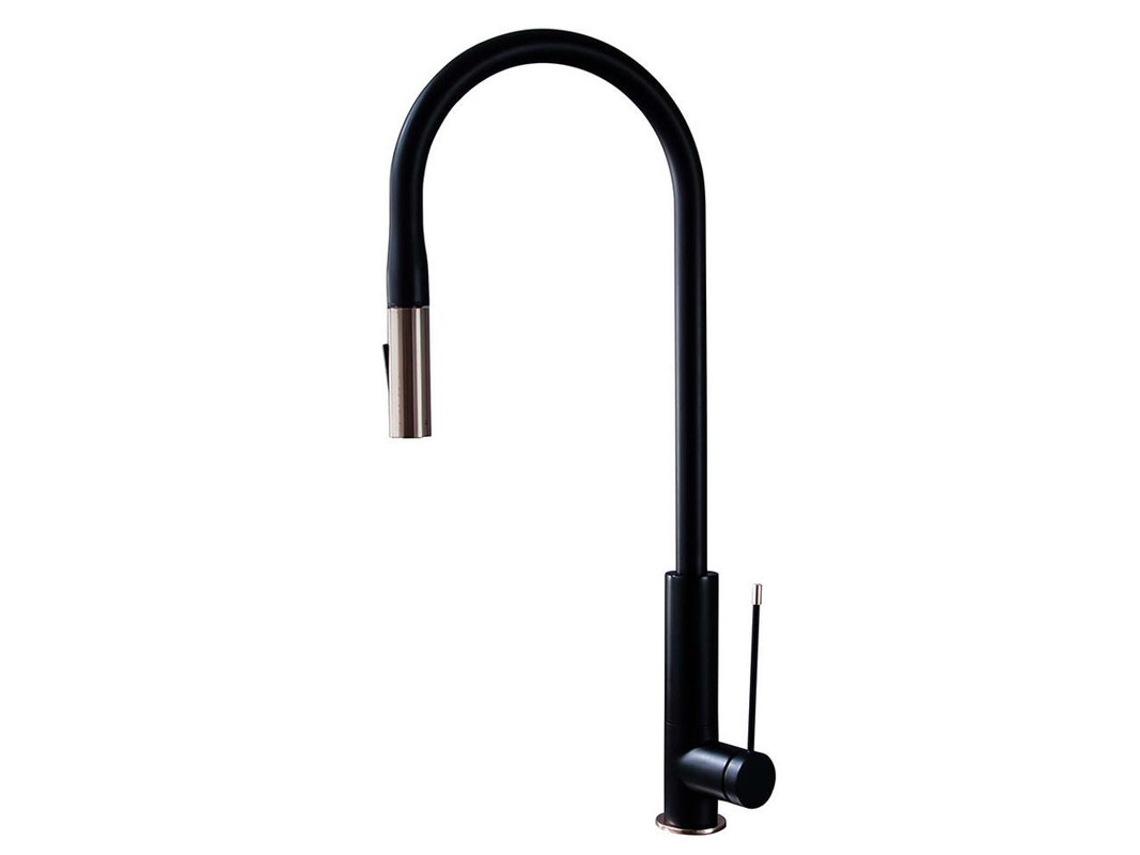 Grifo de Cocina Negro con Ducha Extraíble - (D21FG7BL)