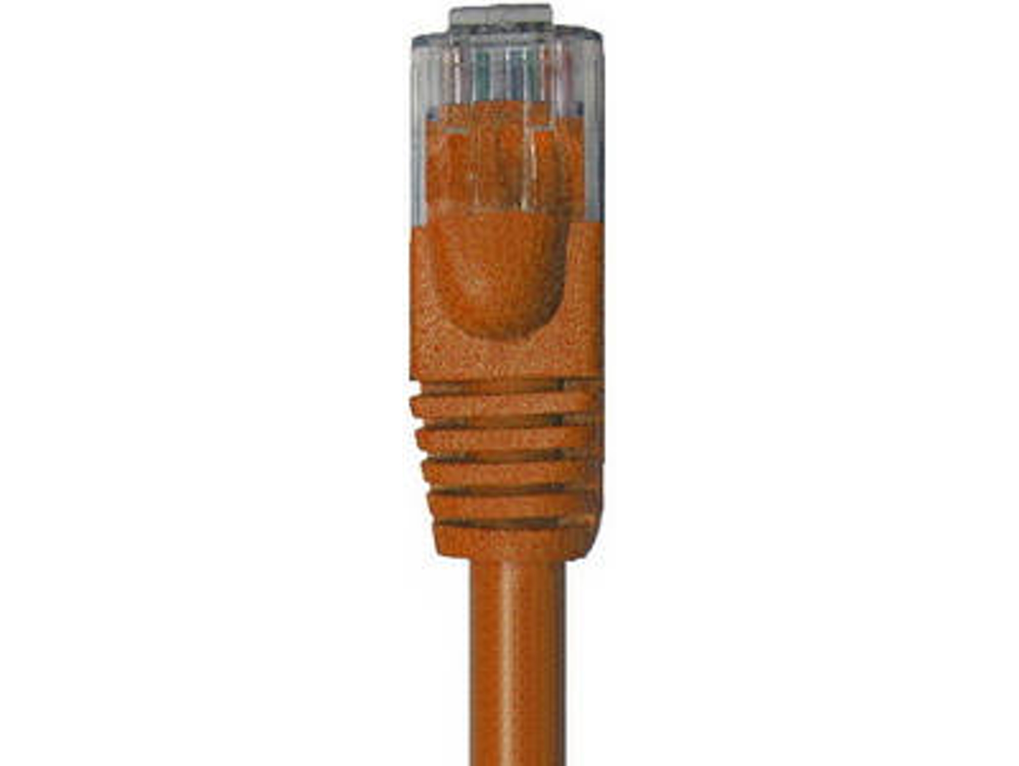 Cable de Red GOOBAY (RJ45)