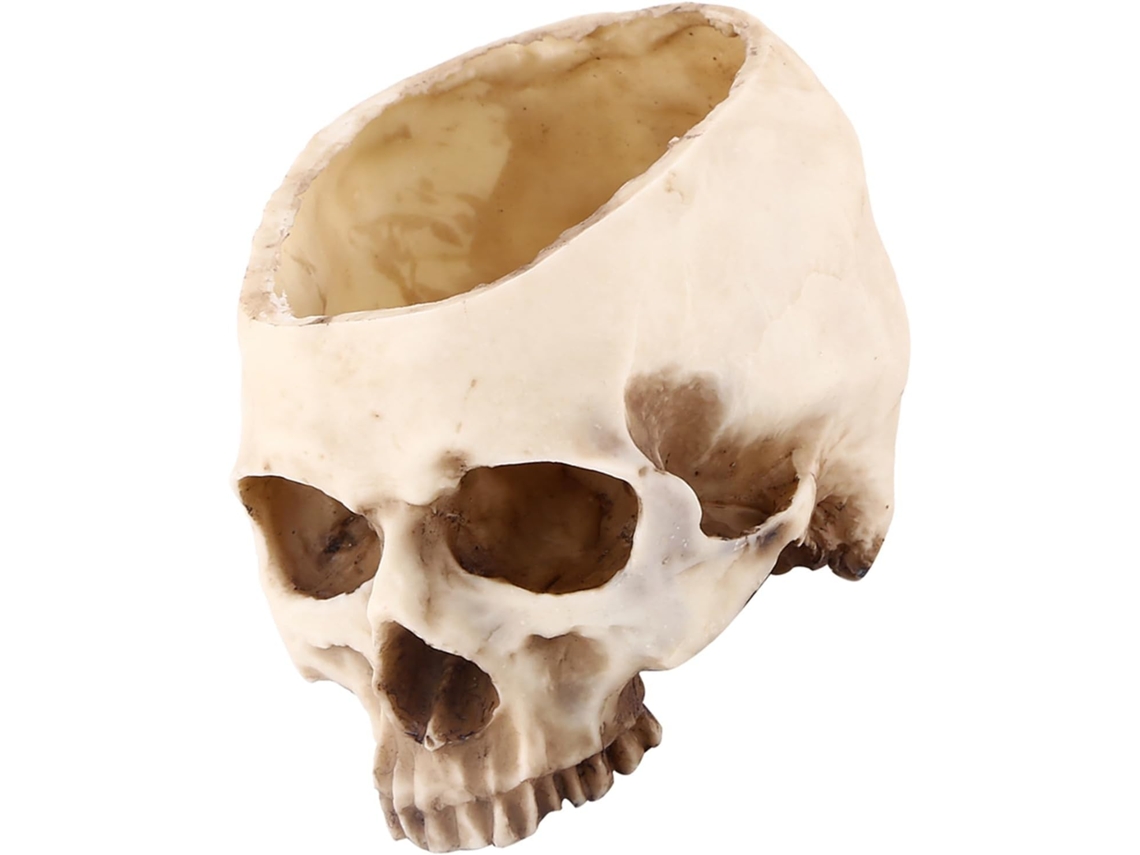 Maceta Con Forma De Calavera, Flores De Resina, Maceta Única Con Forma De Calavera De 6.5 X 4.5 X 4.3 Pulgadas Para Bares, Discotecas Y Decoración.