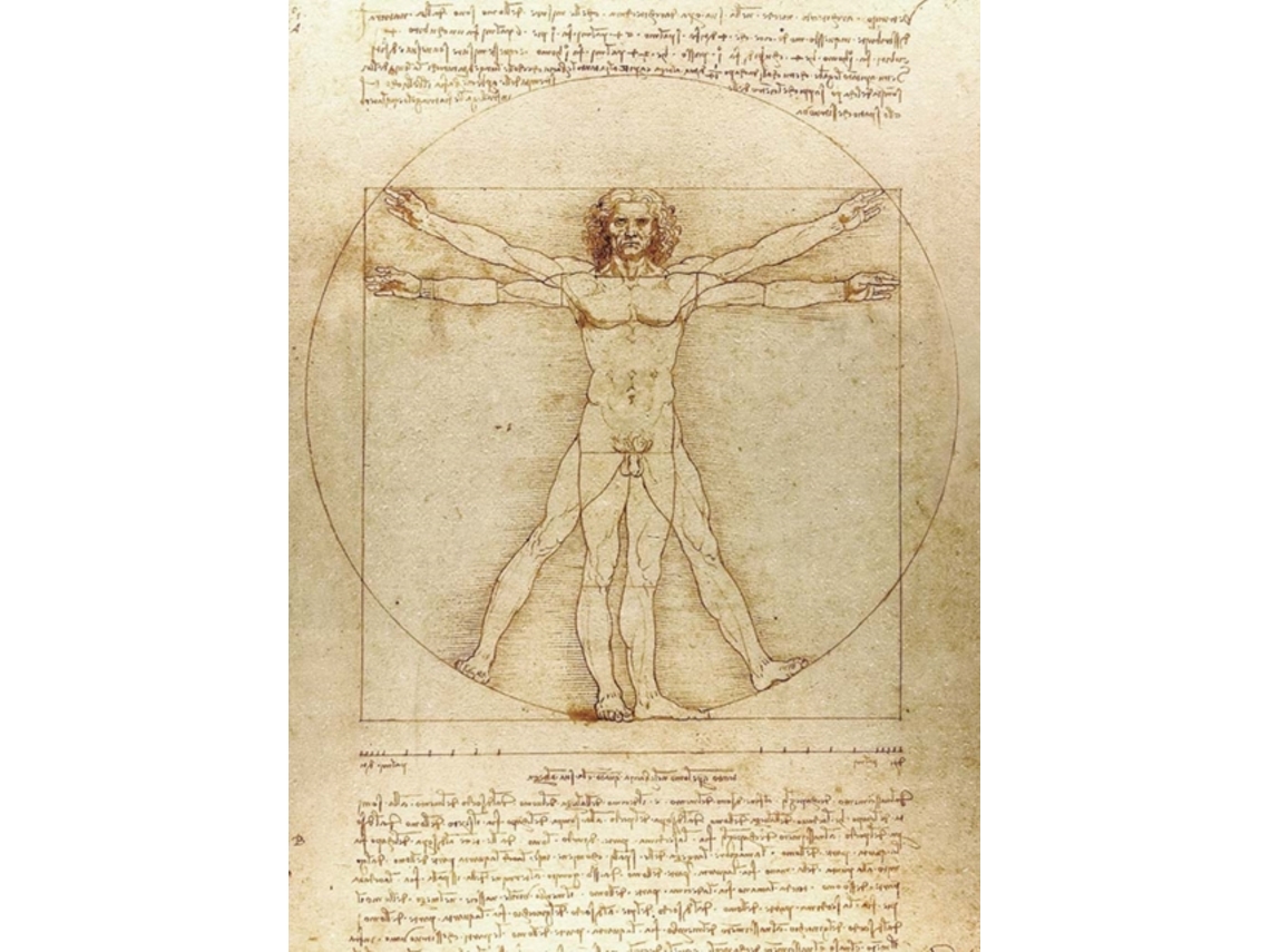 Libro Vitruvian Man Notebook de Leonardo da Vinci (Inglés)