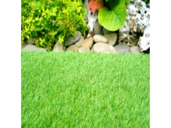 Cesped Artificial - 2x6m (Ancho x Largo) - Grosor 25mm