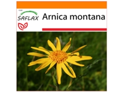 SAFLAX Garden in the bag Árnica 40 semillas Con sustrato de cultivo en una práctica bolsa automontable Arnica montana