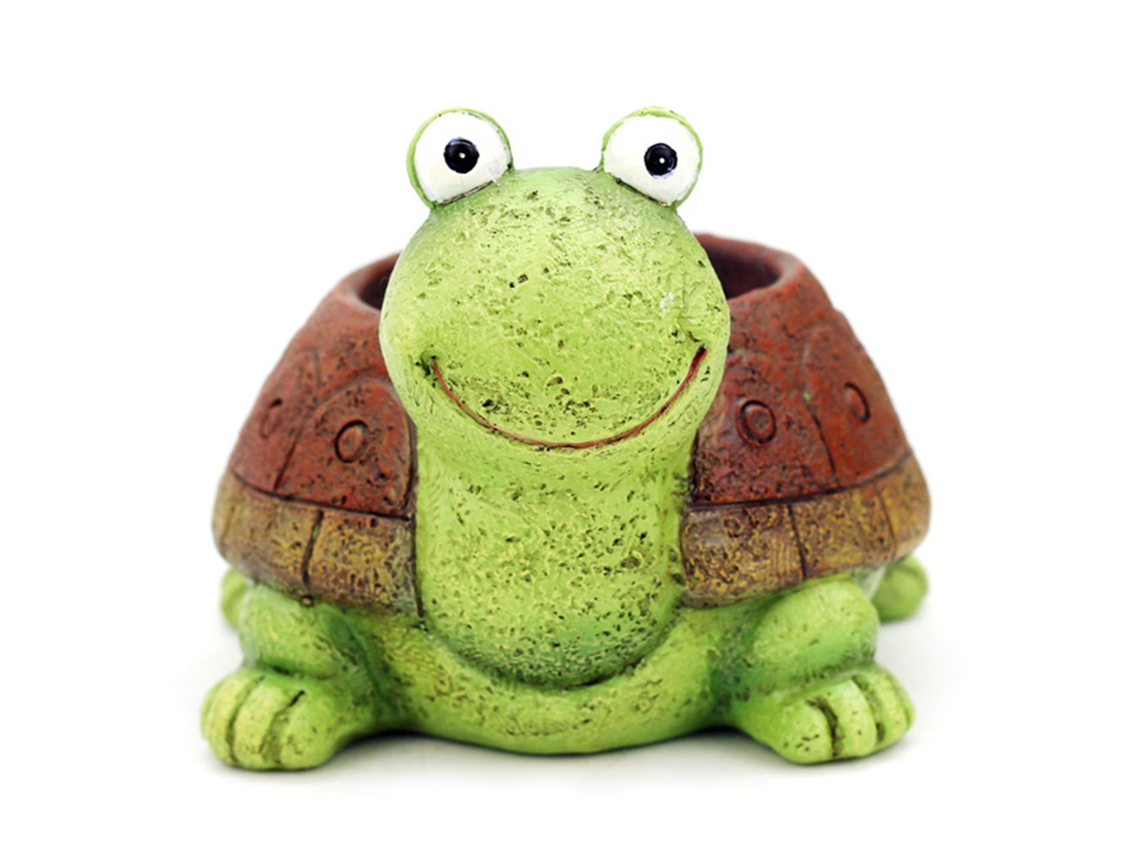 Maceta verde con suculentas y diseño de tortuga de dibujos animados (planta no incluida)
