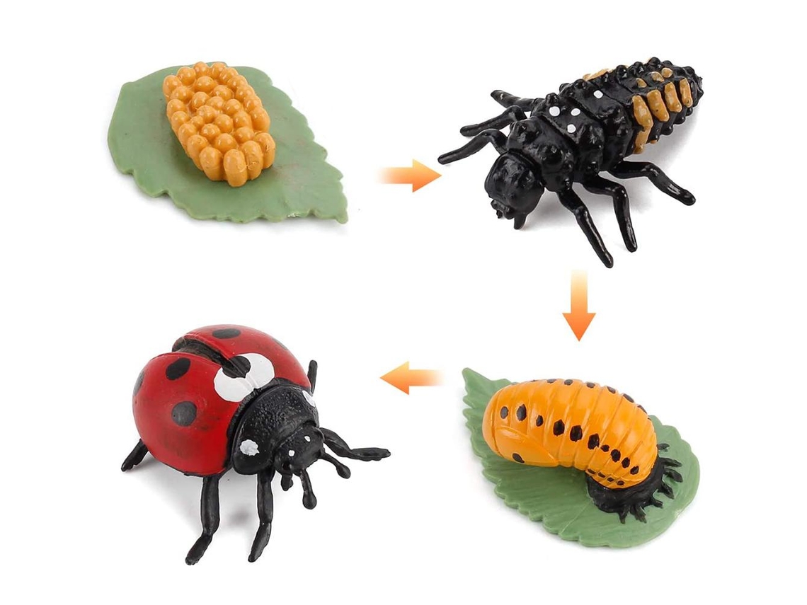 Juguetes Educativos Con Modelos Realistas Del Ciclo De Vida Animal Para Niños.