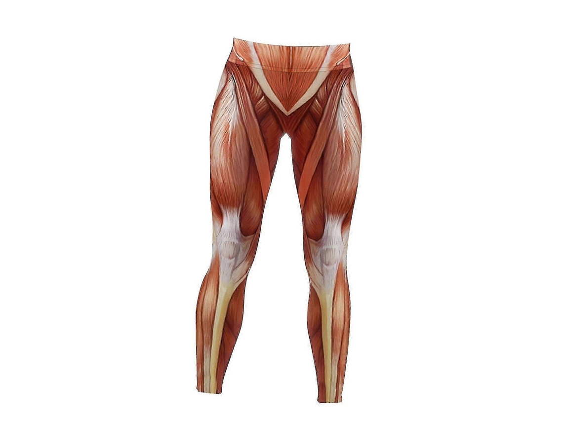 Leggings de cintura alta para mujer con estampado anatómico muscular para pilates, Spring Fitness Rosewell