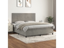 Cama Box Spring Con Colchón Terciopelo Gris Claro 160x200 Cm