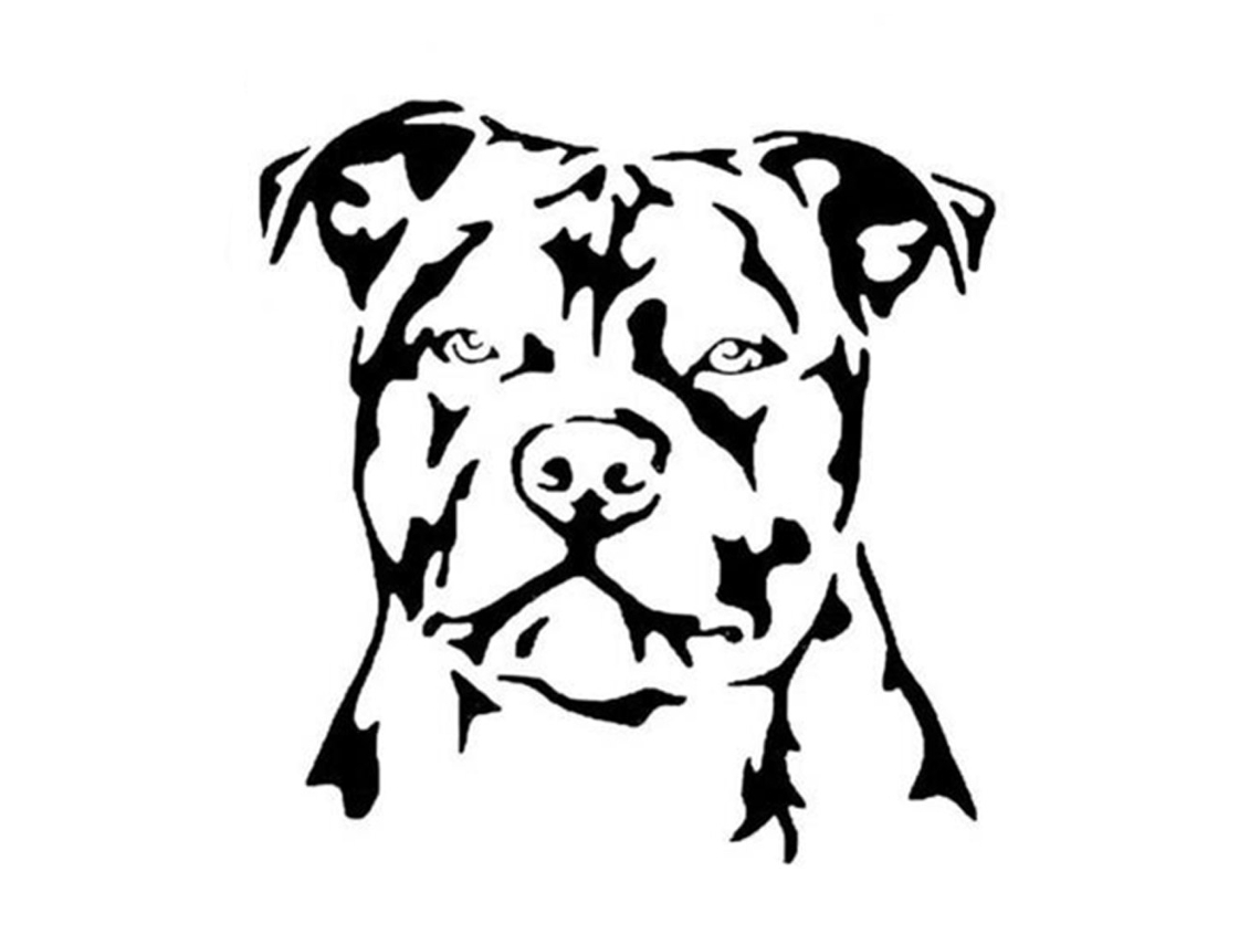 Adhesivo de pared luminoso (12 unidades decorativas para habitación infantil)