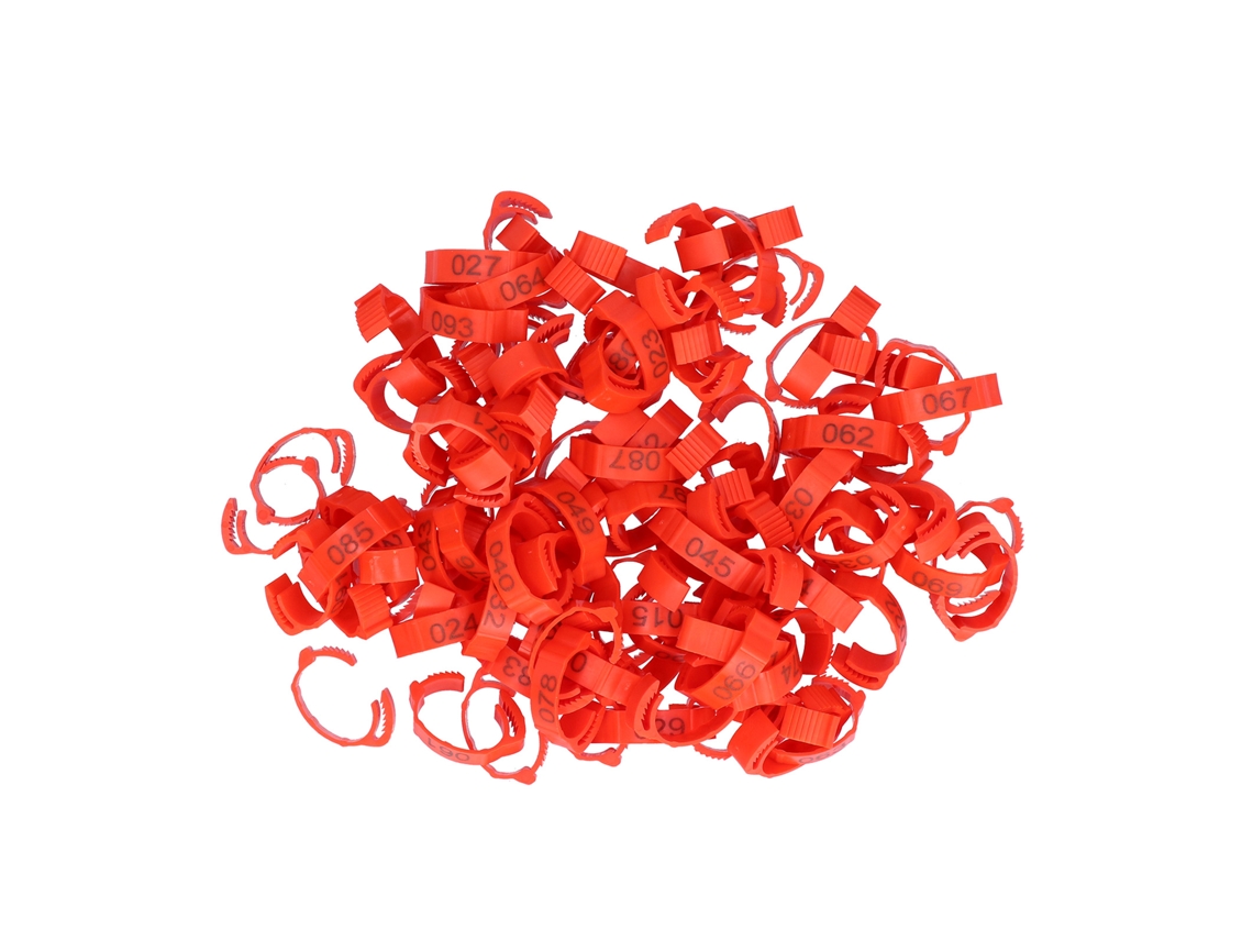 100 Anillos para patas de aves de corral (PRATO)