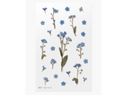 Pegatinas decorativas de flores de nomeolvides Appree