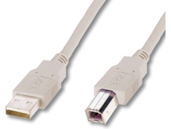 Cable USB ASSMANN ELECTRONIC USB A/USB B 1.8 m Macho/Macho Beige