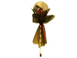 Decoración romántica para San Valentín, globo luminoso de PVC transparente y lámparas LED, ideal para decorar el hogar y celebrar aniversarios de boda EIOORORRIY