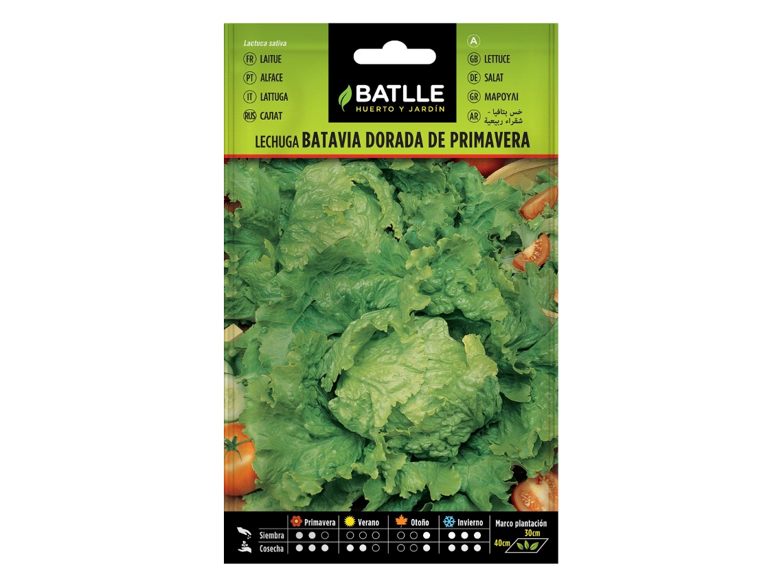 Semillas de lechuga Golden Spring BATLLE