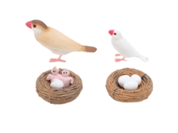 Figuras del ciclo de vida del pájaro Pinzón (2026), 4 piezas, para niños, juguetes educativos realistas de PVC, ciclo de crecimiento animal.
