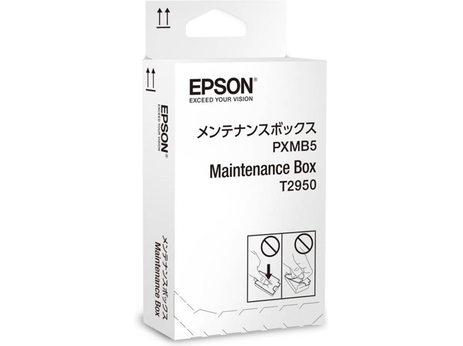 Accesorios para impresora / escáner EPSON C13T295000