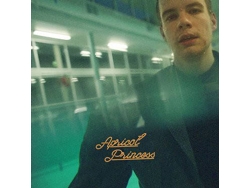 Vinilo LP Rex Orange County - Apricot Princess