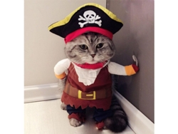 2026-traje De Pirata Para Gato, Talla L, Para Halloween Navidad, Fiesta, Cosplay, Ropa Ligera Y Cómoda
