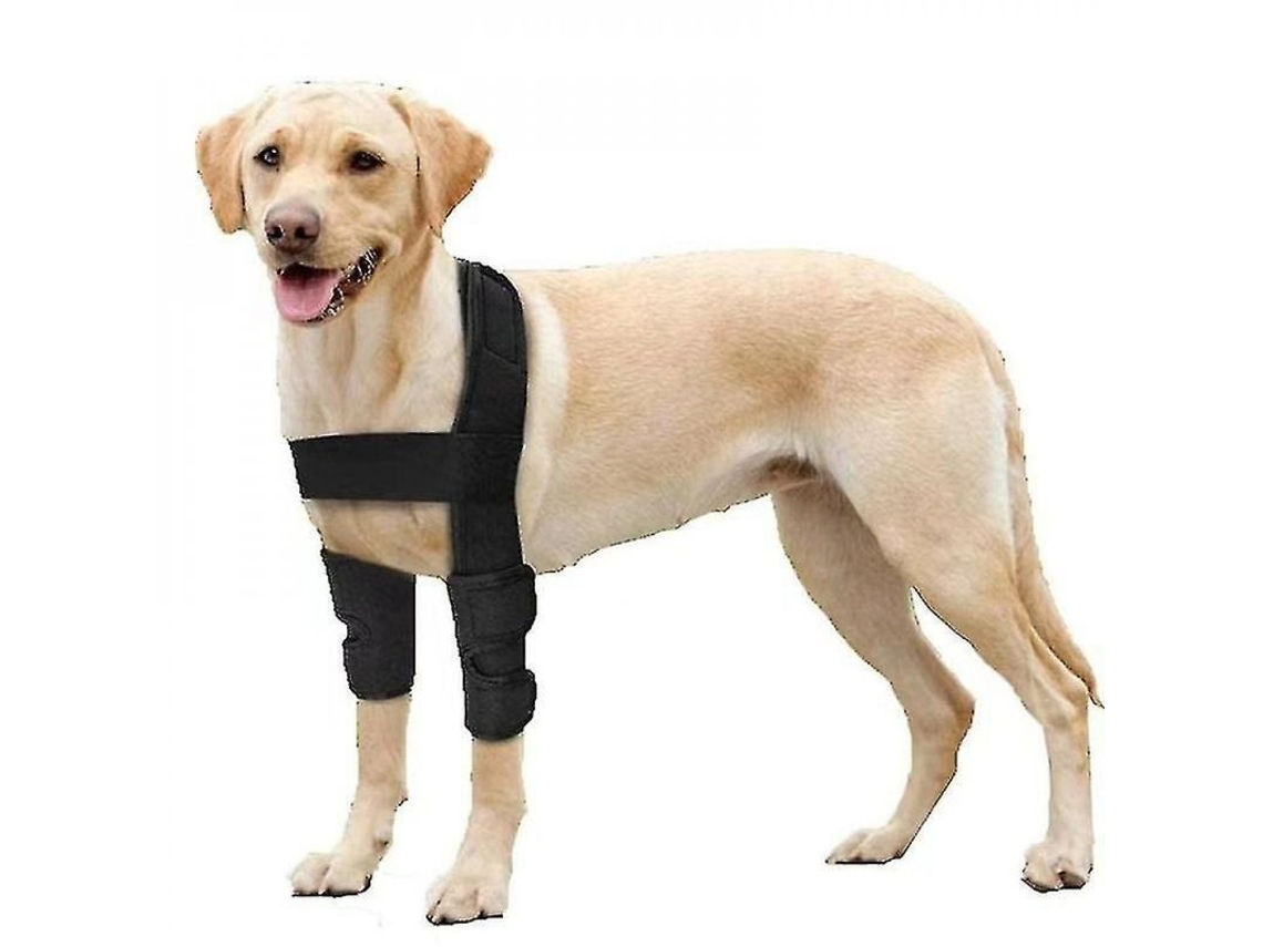 Protector de codo transpirable para perros 2026 con soporte para hombros y articulaciones Zuk L
