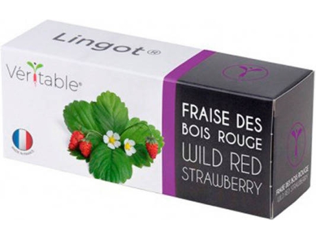 Fresas Rojas Lingot Véritable