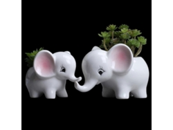 Recipiente Para Plantas Suculentas Maceta Decorativa Con Agujeros De Drenaje Tamaños Grande Y Pequeño