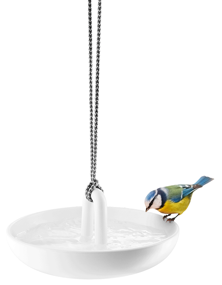 Bebedero para Pájaros EVASOLO(Cerámica - Blanco)