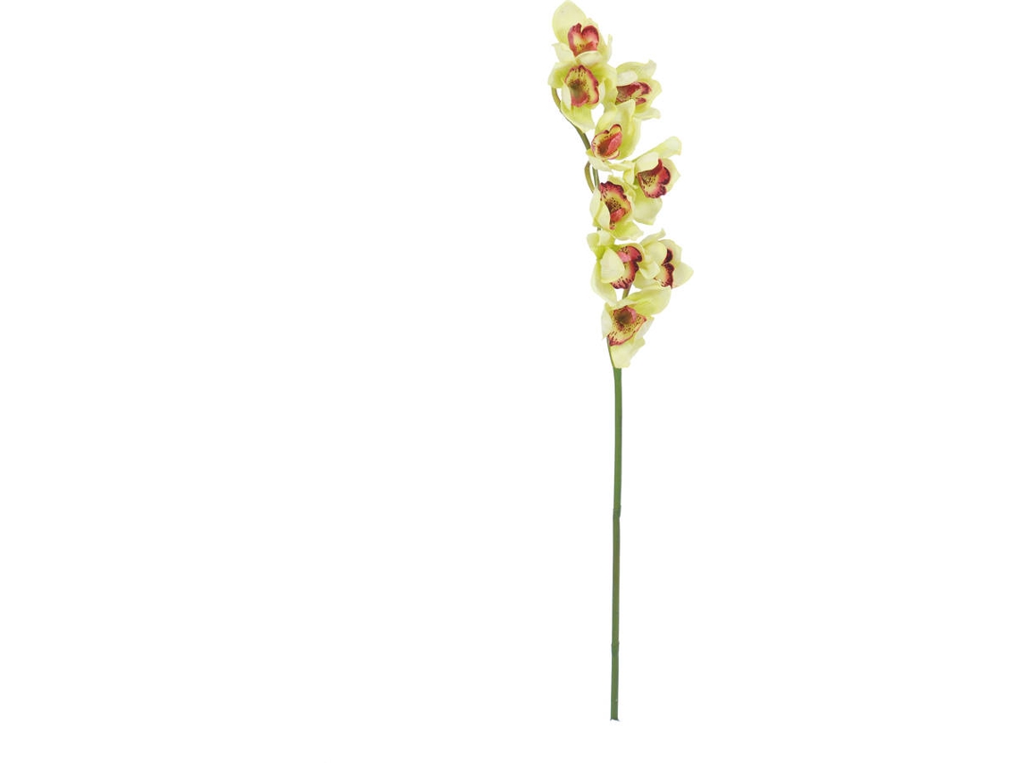 Planta Artificial EUROPALMS Cymbidium Branch (Verde - 90 cm)