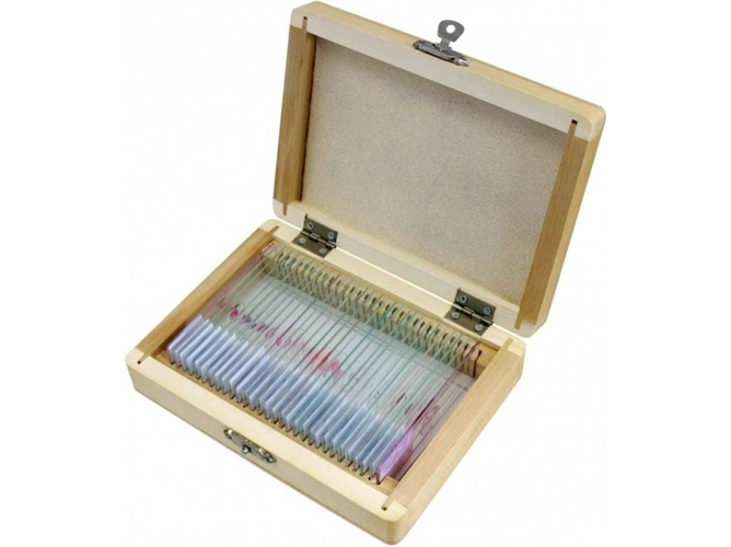Muestras preparadas histología 5985000