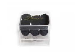 9 Rosas Naturales Preservadas Negras LOVE Flowers - Colección Glassy Rose