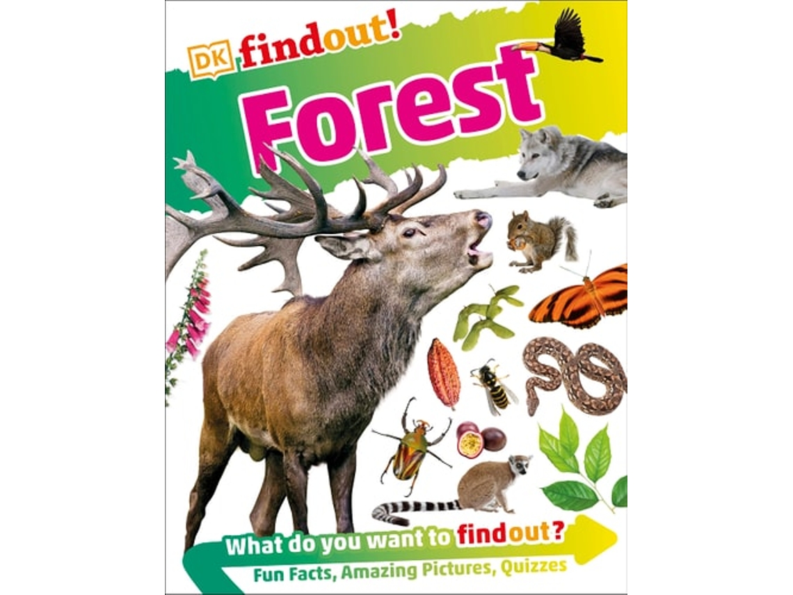 Libro Dk Findout! Forest (Inglés)