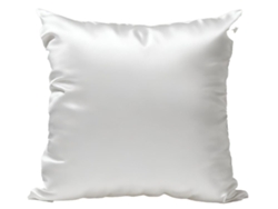 Funda de almohada de pura seda de morera de 22 momme INPHYSIO Tamaño 65x65 cm, Seda Blanca