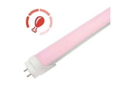 Tubo Led LEDBOX T8 especial Carnicerias, 9W, 60cm, Rosa/Magenta