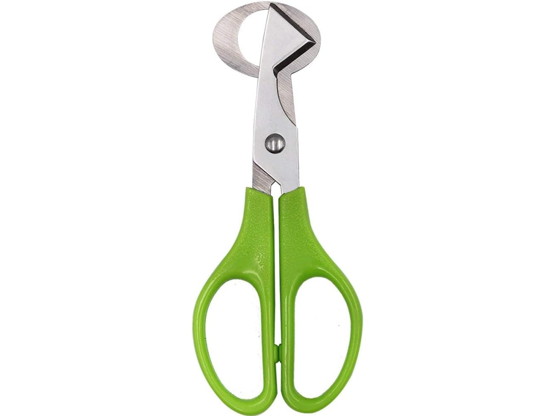 Tijeras para cortar huevos de codorniz Verde ZMDECQNA