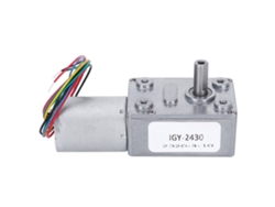 Motor De Engranaje De Reducción De Velocidad Dc 12v Auto-bloqueo Reversible 10rpm Piezas Eléctricas