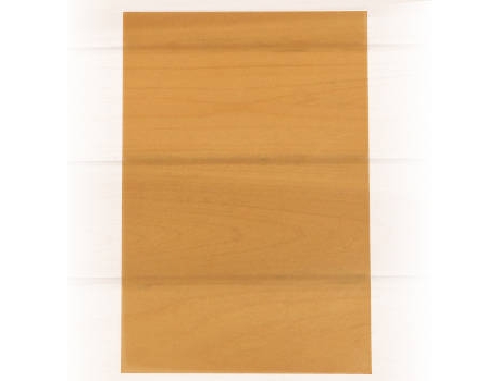 Papel Vegetal SCHOELLERSHAMMER 1837680 (A4 - Naranja - 10 Hojas)