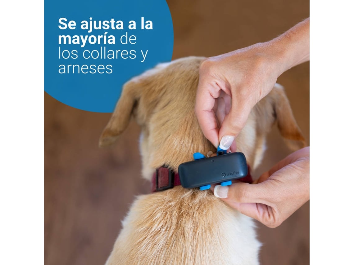 Localizador GPS para Perros TRACTIVE (Azul)