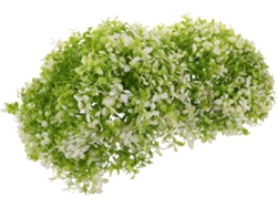 Bolas de césped artificial decorativas Gokoco de 31 cm para plantas colgantes de interior y exterior